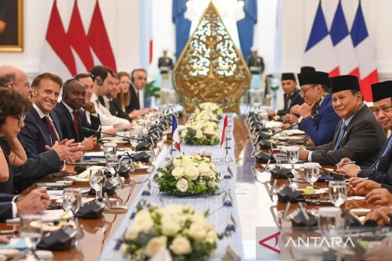 Pertemuan-Bilateral-Presiden-Prabowo-dan-Presiden-Prancis-280525-gp-10_1.jpg