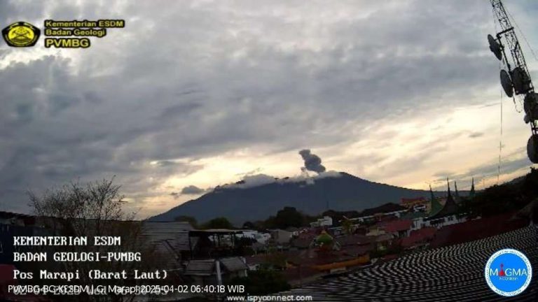 y4ijdmy4z7q73g6