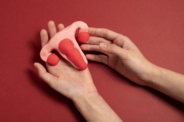 flat-lay-hands-holding-women-reproductive-system (1)