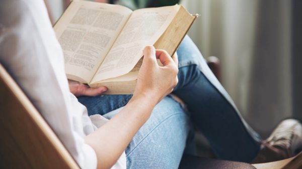 Reading Novel