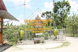 Travel Guide Bojonegoro 2025: 7 Tempat Wisata, Makanan Khas, dan Aktivitas Favorit