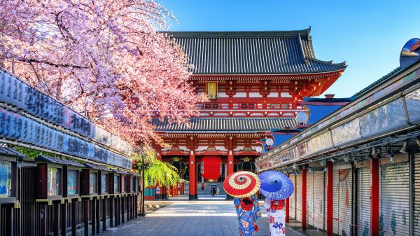 Tour Jepang 2025: Panduan Paket, Budget Dan Destinasi Paling Diminati