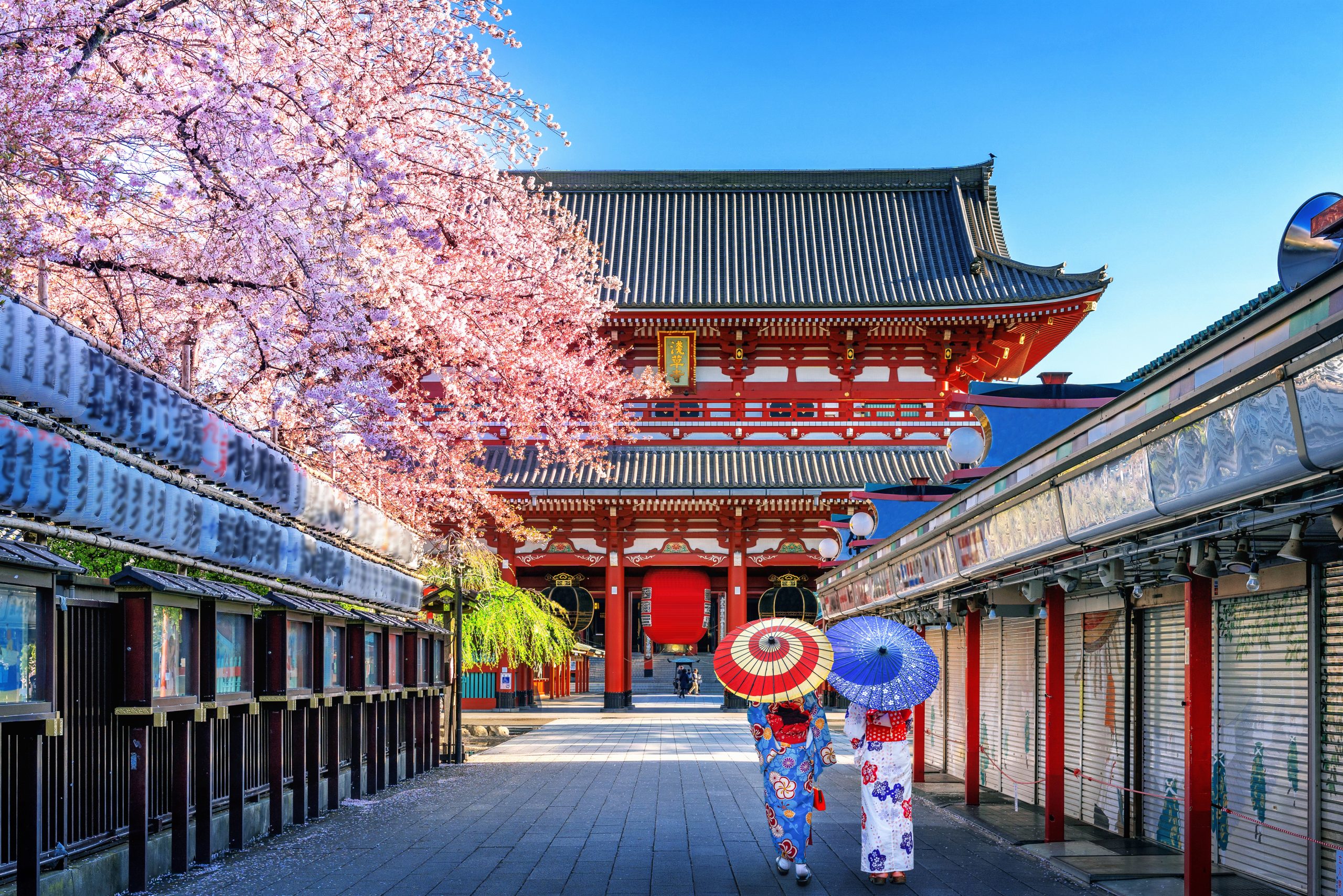 Tour Jepang 2025: Panduan Paket, Budget Dan Destinasi Paling Diminati