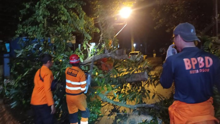 7titikdikotabogorditerpalongsordanpohontumbangdokbpbdbogor1761059805852169  Newest Indonesia