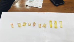 petugas-lembaga-pemasyarakatan-lapas-narkotika-kelas-iia-jakarta-berhasil-menggagalkan-penyelundupan-paket-barang-diduga-narko-1761154454480_169