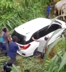 Evakuasi mobil pakai sapi di rembang jawa tengah