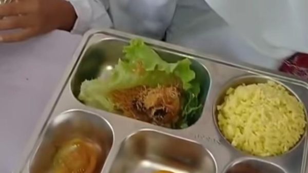 Heboh Belatung di Menu MBG Sukabumi. (istimewa)