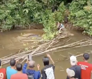 Perempuan Diterkam Buaya Di Desa Bulu Hadik Kecamatan Teluk Dalam Simeuleu Aceh Foto Dok X