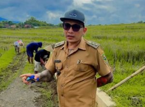 Kades Hoho Alkaf Foto Istimewa