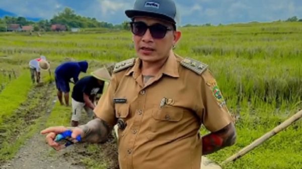 Kades Hoho Alkaf Foto Istimewa