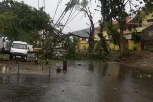 Pemulihan Listrik Di Jateng Karena Cuaca Ekstrem