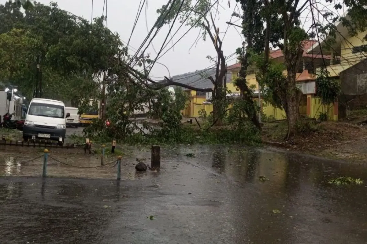 Pemulihan Listrik Di Jateng Karena Cuaca Ekstrem