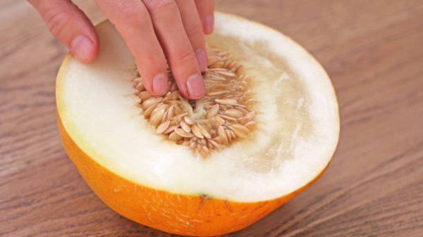 Ilustrasi. Foto: iStock/ Ekaterina Lutokhina