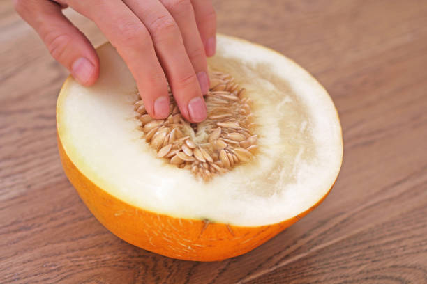 Ilustrasi Foto iStock Ekaterina Lutokhina