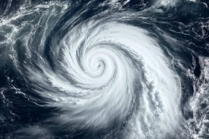 Ilustrasi Foto iStockbymuratdeniz