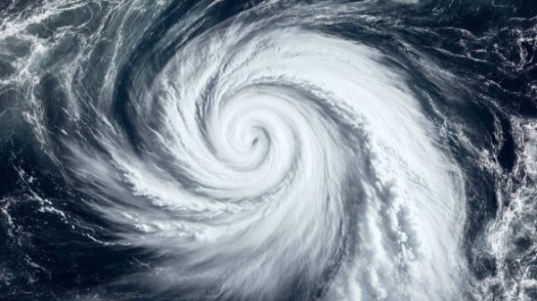 Ilustrasi Foto iStockbymuratdeniz