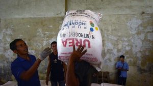 Foto: ANTARA FOTO/ARDIANSYAH