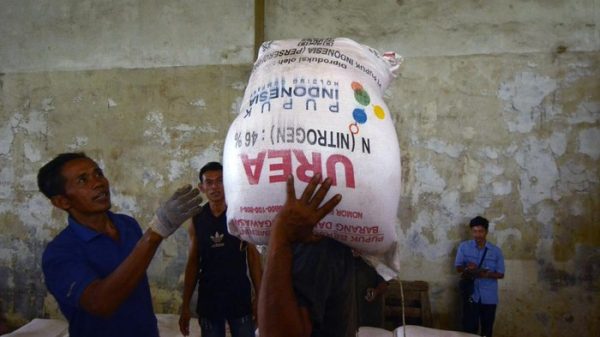 Foto ANTARA FOTOARDIANSYAH