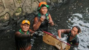 berantas-ikan-sapu-sapu-petugas-sisir-kali-1776393325965_169
