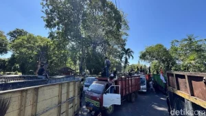 demo sampah di bali
