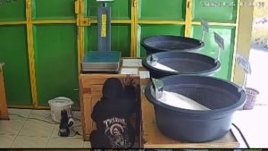 detik-detik-saat-wanita-yang-mengaku-dari-panti-mencuri-di-toko-beras-singaparna-tasikmalaya-1776253627297_169