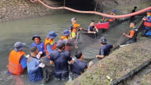 petugas-gabungan-memburu-ikan-sapu-sapu-di-kali-taman-semanan-indah-cengkareng-jakarta-barat-jumat-1742026-1776401177006_169