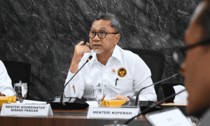 Menteri Koordinator Bidang Pangan Zulkifli Hasan