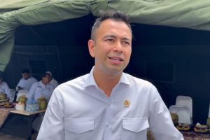 Raffi Ahmad