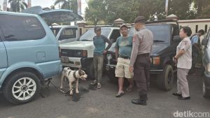 bocah-laki-laki-berusia-9-tahun-tewas-diserang-anjing-pemburu-babi-hutan-di-jasinga-bogor-jawa-barat-kasus-itu-mencuat-setelah-1780915104799_169