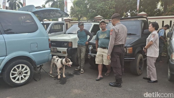 bocah-laki-laki-berusia-9-tahun-tewas-diserang-anjing-pemburu-babi-hutan-di-jasinga-bogor-jawa-barat-kasus-itu-mencuat-setelah-1780915104799_169