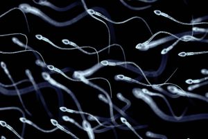 istockphoto-1164513662-612x612