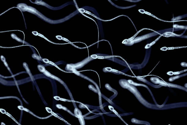 istockphoto-1164513662-612x612