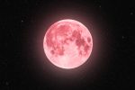 Strawberry Moon Menyapa Indonesia 30 Juni 2026, Bisa Dilihat Tanpa Alat Bantu