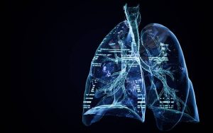 Human anatomy, lung muscle and skeletal, nervous system