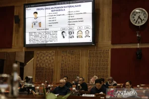 komisi-x-dpr-setujui-naturalisasi-dua-pemain-timnas-2805953.jpg