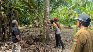 polisi-mendatangi-lokasi-keberadaan-beruang-di-tanggamus-1781604624873_169