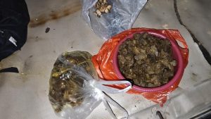 daging-tapir-yang-dimasak-rica-rica-oleh-para-pelaku-di-mesuji-lampung-1783056958032_169