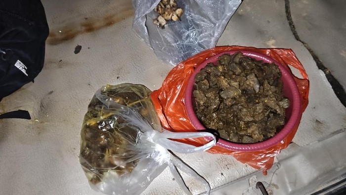 daging-tapir-yang-dimasak-rica-rica-oleh-para-pelaku-di-mesuji-lampung-1783056958032_169