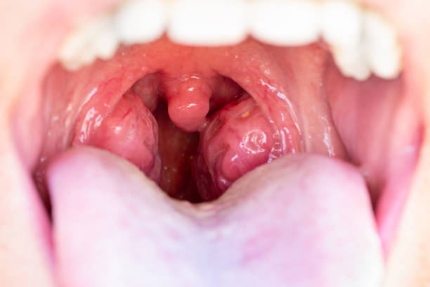 istockphoto-1898217696-612x612