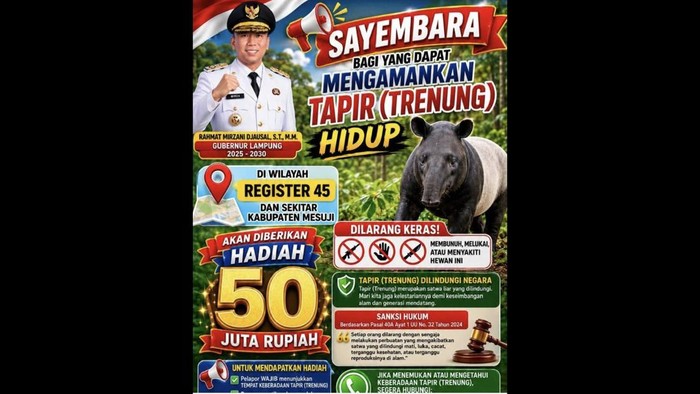 sayembara-yang-dikeluarkan-gubernur-lampung-terkait-tapir-1783322398775_169